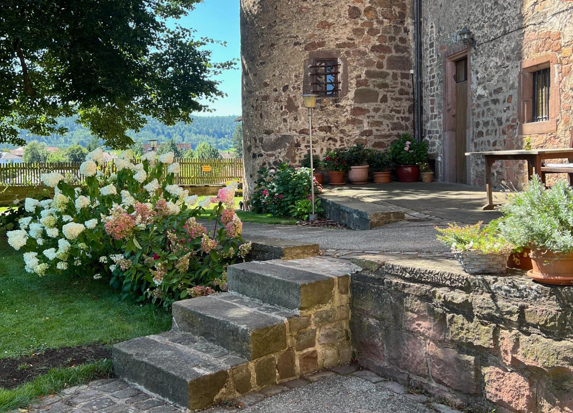 Alte Foersterei - Elegantes Apartment In Der Historischen Hinterburg Schlitz - Nahe Fulda Und Bad Hersfeld מראה חיצוני תמונה